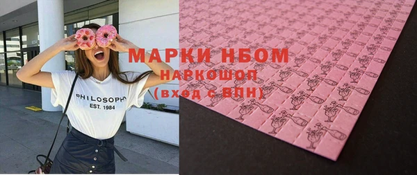 хмурый Алзамай