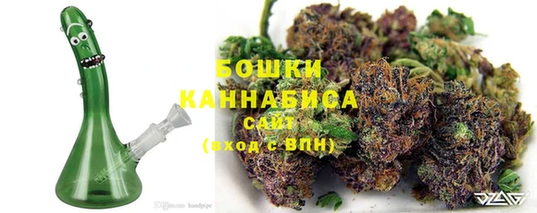 молекула духа Алексеевка