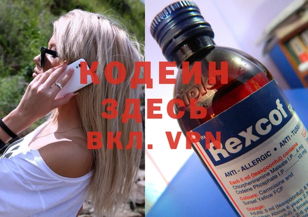 хмурый Алзамай