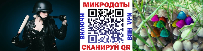 купить  цена  Муравленко  Псилоцибиновые грибы мицелий 