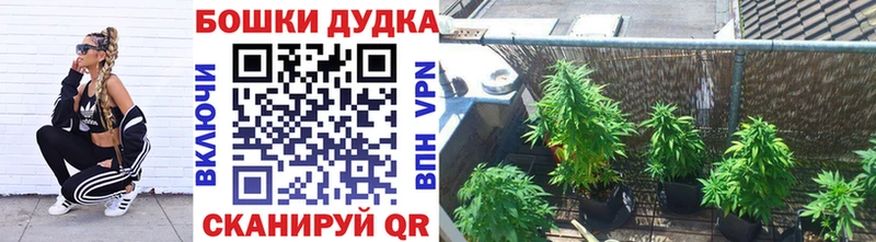 Конопля планчик  Муравленко 